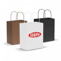 Medium Paper Carry Bag